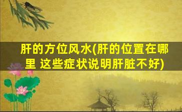 肝的方位风水(肝的位置在哪里 这些症状说明肝脏不好)